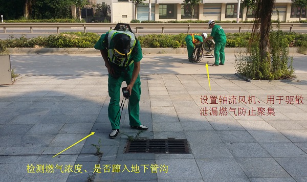 Z6·尊龙凯时·(中国区)官方网站