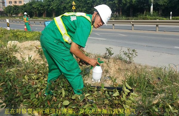 Z6·尊龙凯时·(中国区)官方网站
